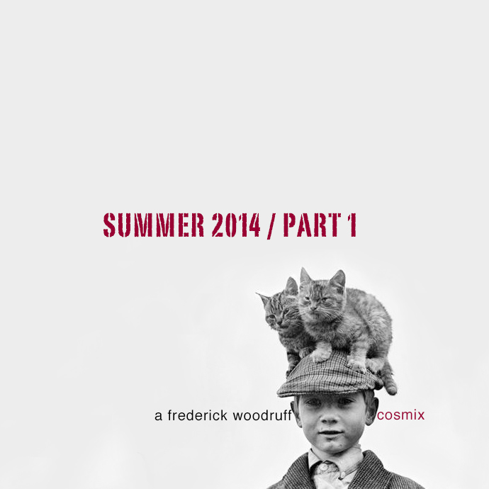 new_cosmix_summer_2014